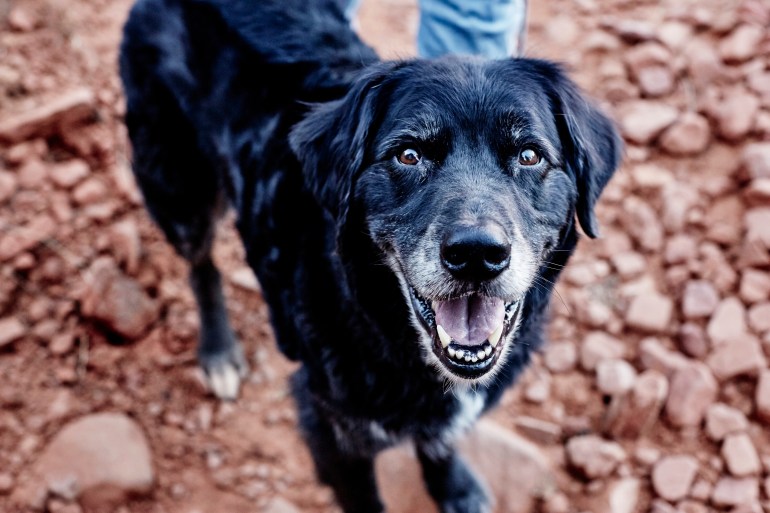 20170925_JPeffley_RoadTrip_118_trt