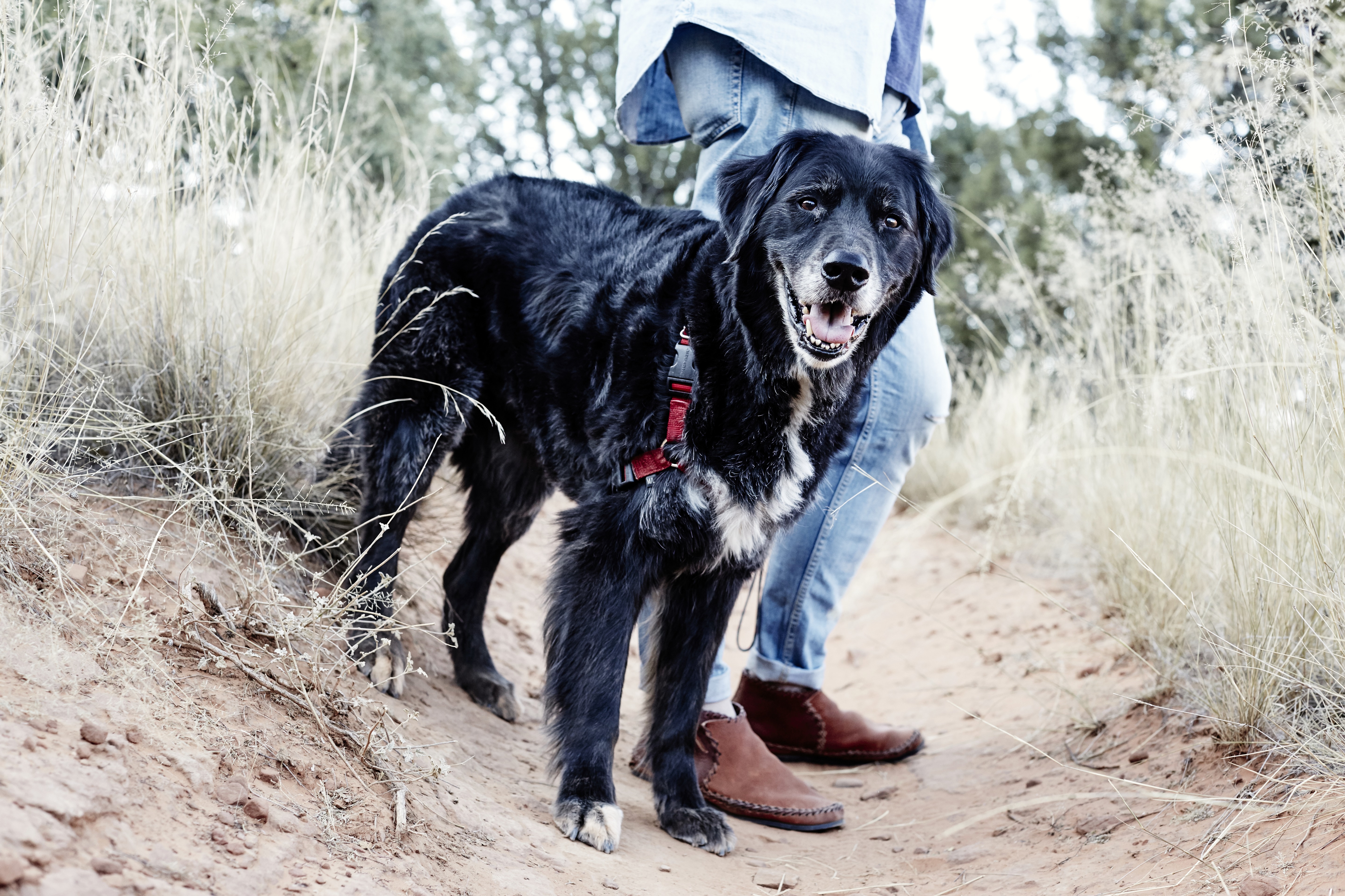 20170925_JPeffley_RoadTrip_137_trt